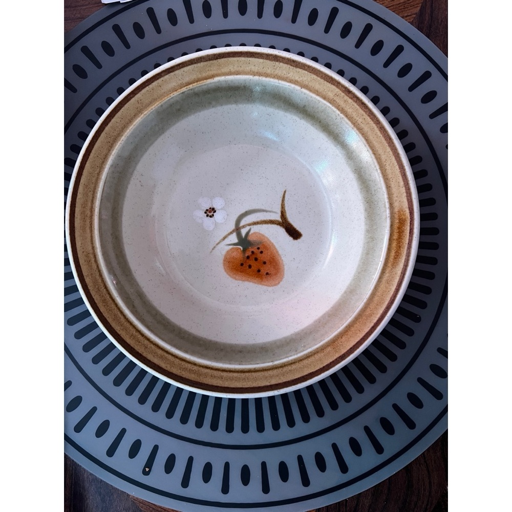 Vintage Premiere Potters Kraft Wild Strawberry Design Japan Bowl and  Plate Set